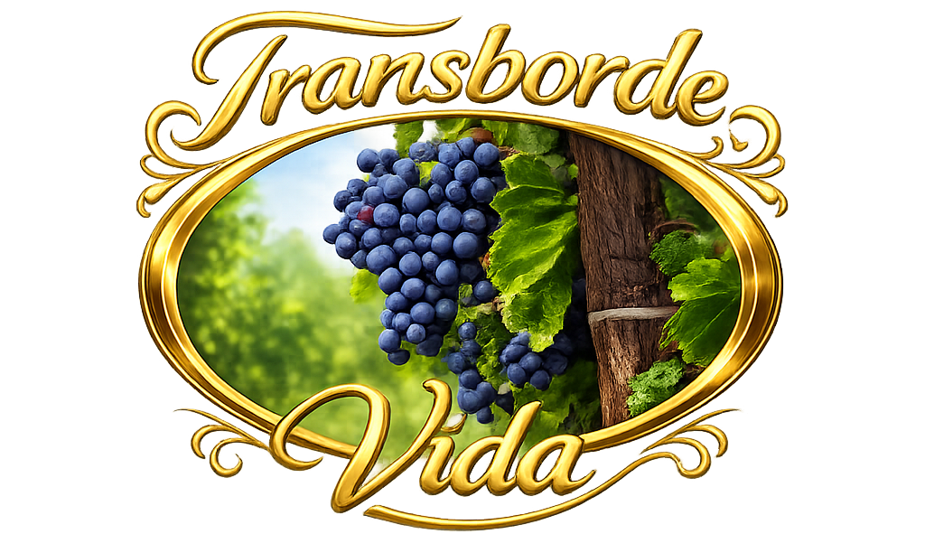 Transborde Vida